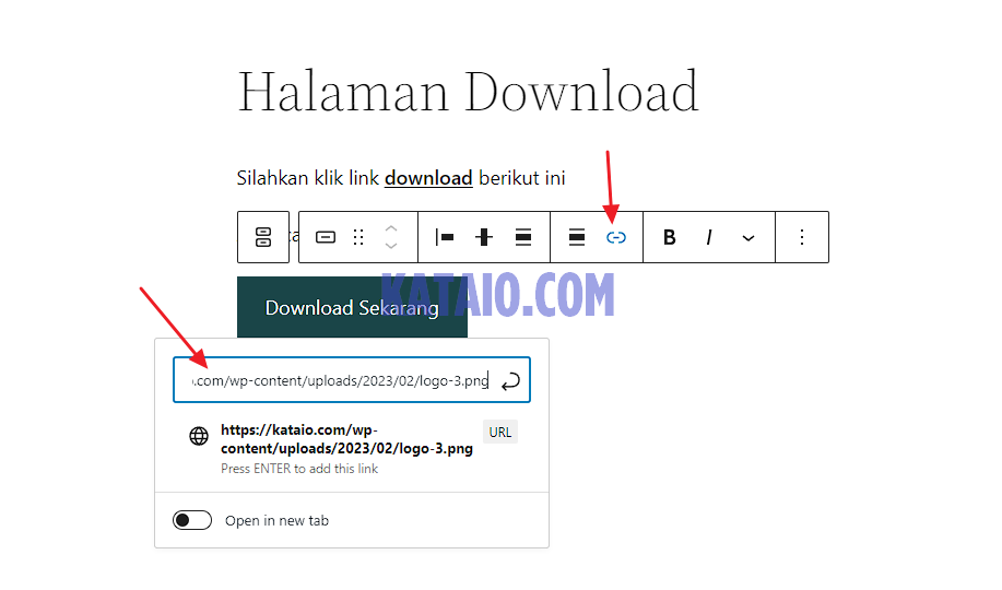 10. pastekan link ditombol buat halaman download